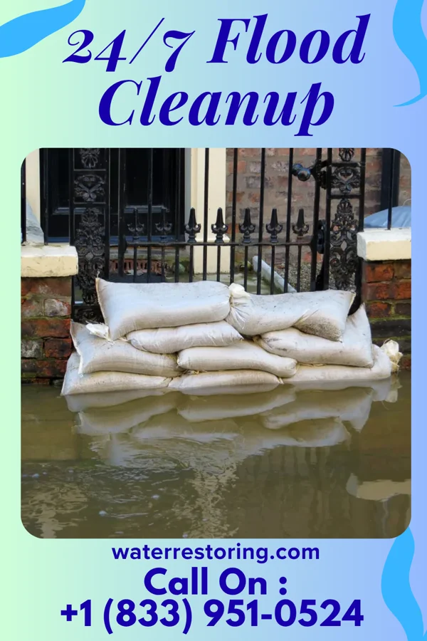 24/7 Flood Cleanup in Indian Field, CT