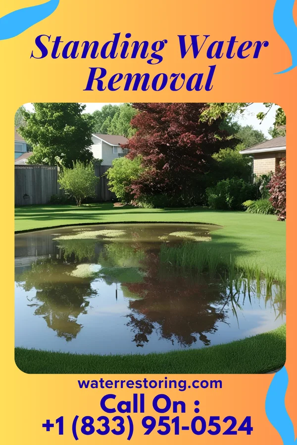 Standing Water Removal in Indian Field, CT